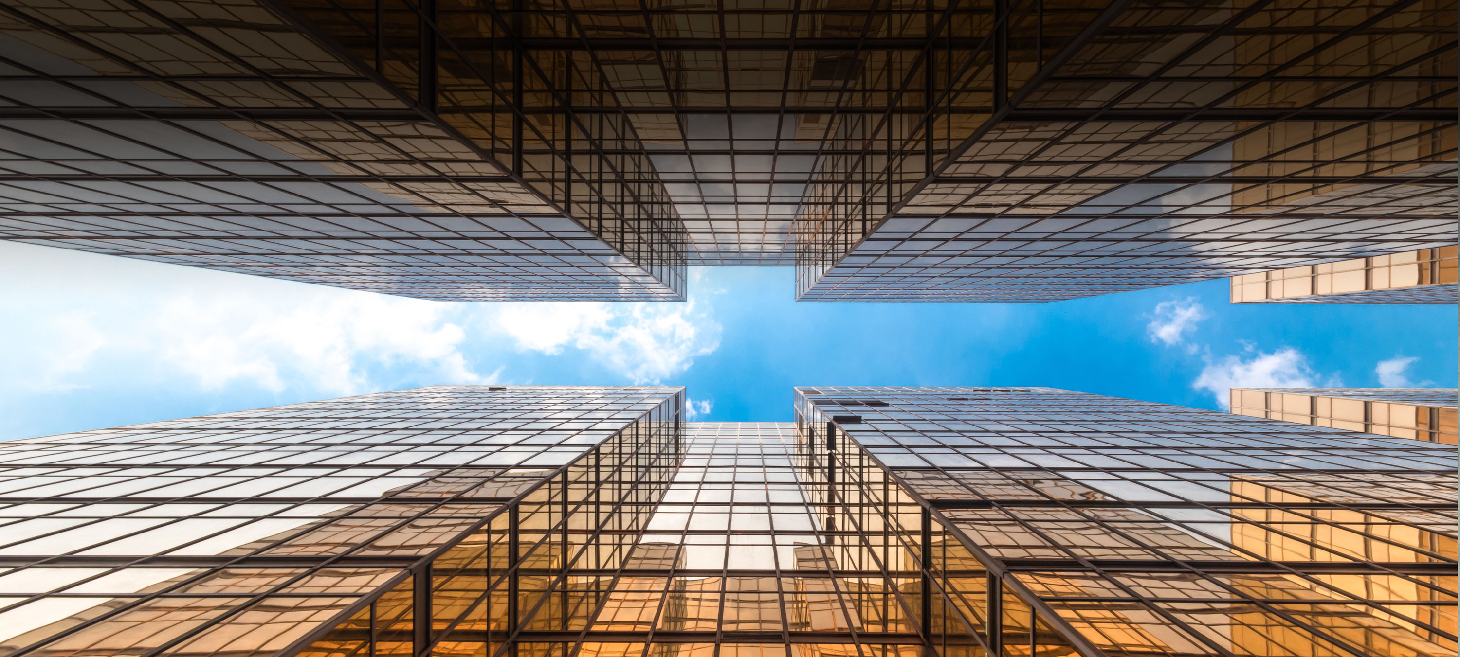 Track record Terry advice one of founders majority shareholders WeTransfer investment rounds